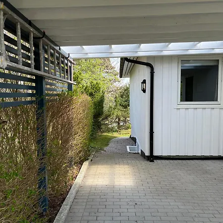 Stor I Mandal, Hos Malfrid Og Rolf